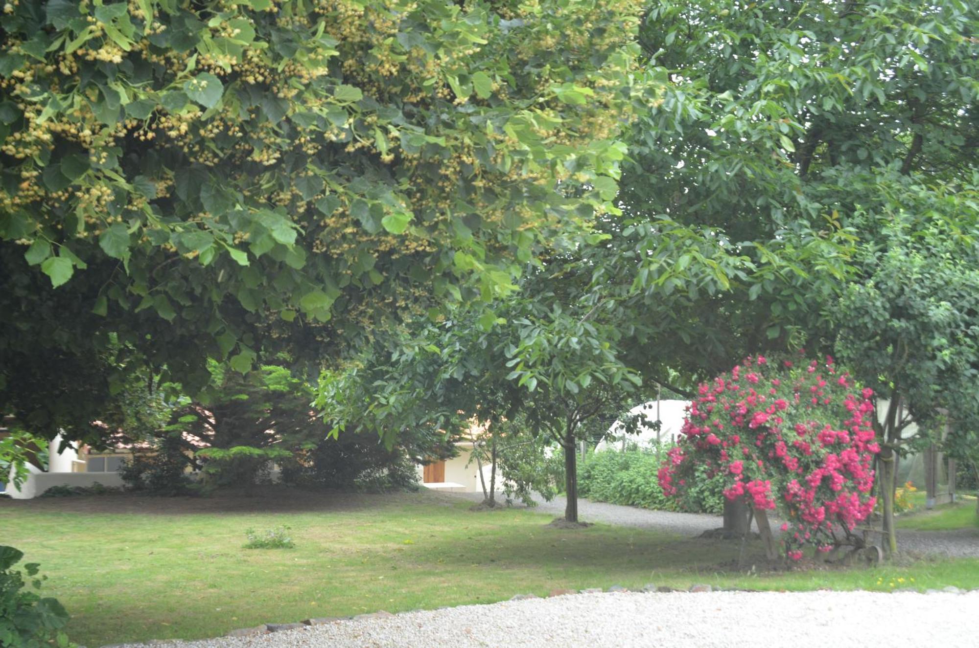 Chambres D'Hotes La Forterie Vaire Экстерьер фото